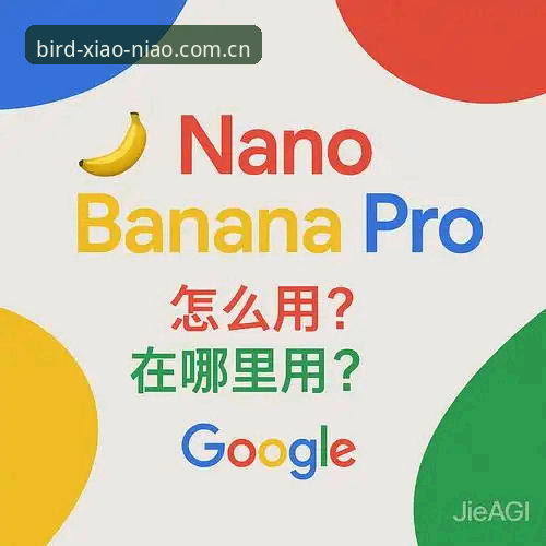 资深用户实战分享：小鸟体育注册使用指南，从入门到精通的全流程心得