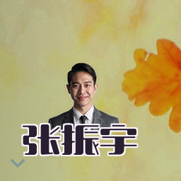 张振宇